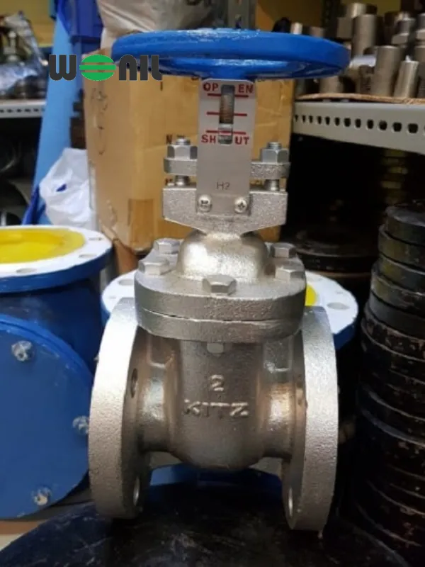 Van chặn DN100 Kitz ty chìm