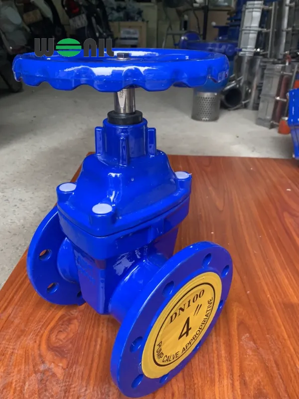 Van chặn ty chìm DN100 AUT