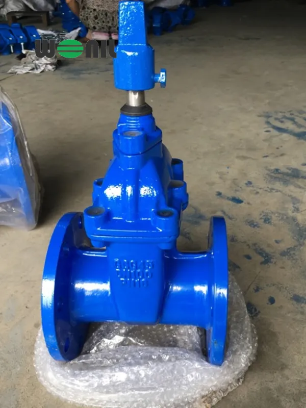 Van cổng DN100 ty chìm ShinYi