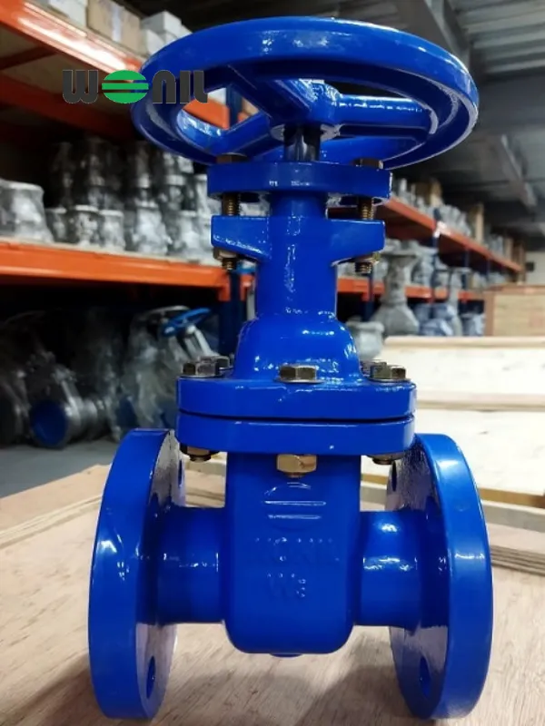 Van cổng ty chìm DN100 Wonil