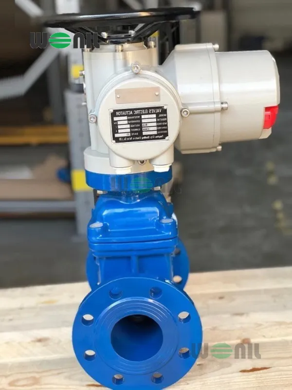 Van cổng điều khiển điện