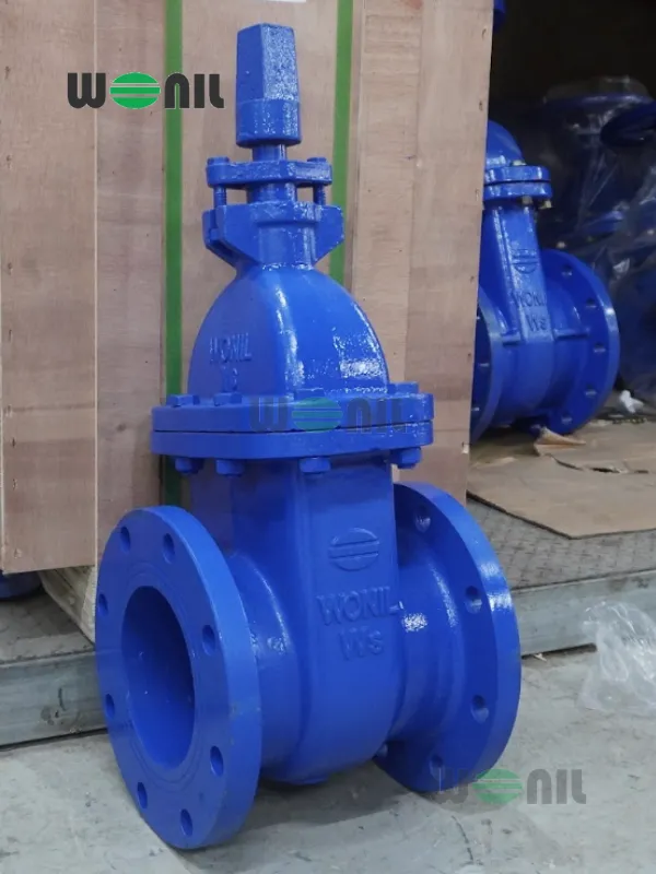 Van cổng nối bích