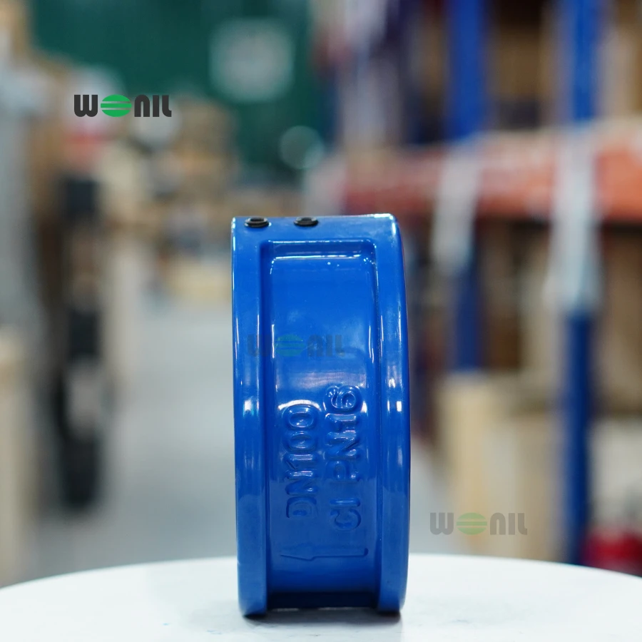 Van 1 chiều Wonil Cánh Bướm Gang DN100 Van 1 chiều Wonil Cánh Bướm Gang DN100