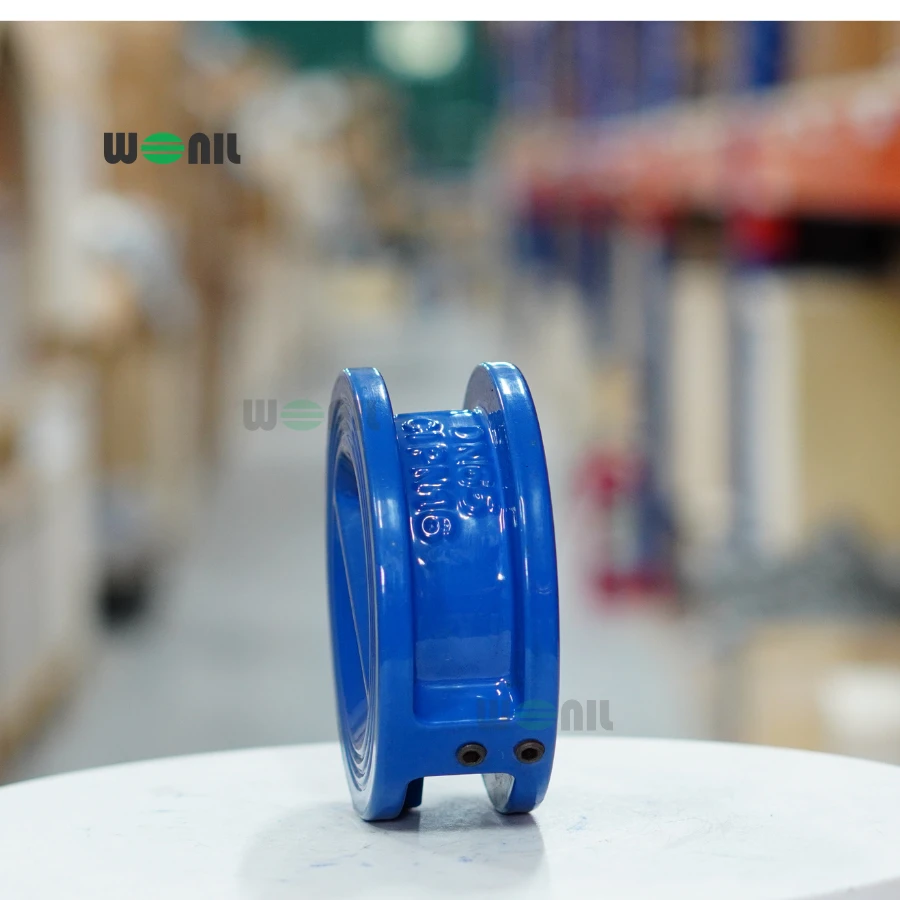 Van 1 chiều Wonil Cánh Bướm Gang DN65 Ảnh thực tế Van 1 chiều Wonil Cánh Bướm Gang DN65