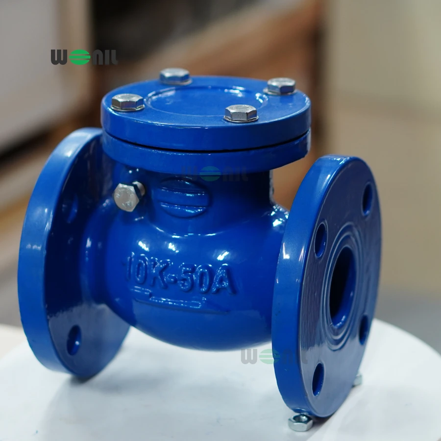 Van 1 chiều Wonil Lá Lật Mặt Bích Gang DN50 ảnh thực tế Van 1 chiều Wonil Lá Lật Mặt Bích Gang DN50