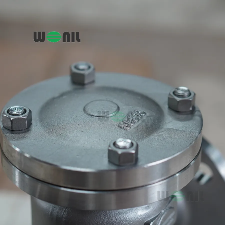 Ảnh thực tế Van 1 chiều Wonil Lá Lật Mặt Bích Inox DN125
