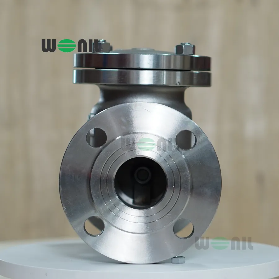 Ảnh thực tế Van 1 chiều Wonil Lá Lật Mặt Bích Inox DN125