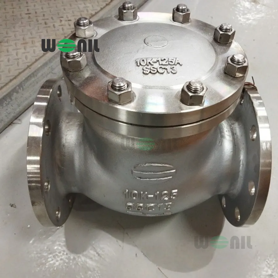 Ảnh thực tế Van 1 chiều Wonil Lá Lật Mặt Bích Inox DN125