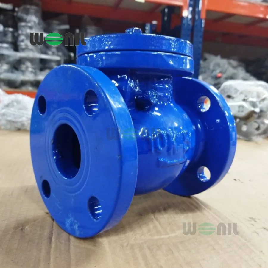 Van 1 chiều Wonil Lá Lật Mặt Bích Gang DN50