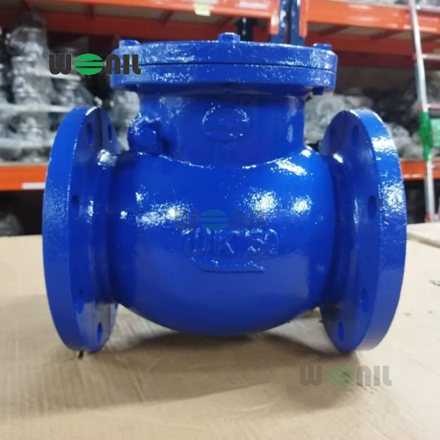 Van 1 chiều Wonil Lá Lật Mặt Bích Gang DN50