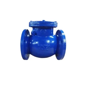 Van 1 chiều Wonil Lá Lật Mặt Bích Gang DN50