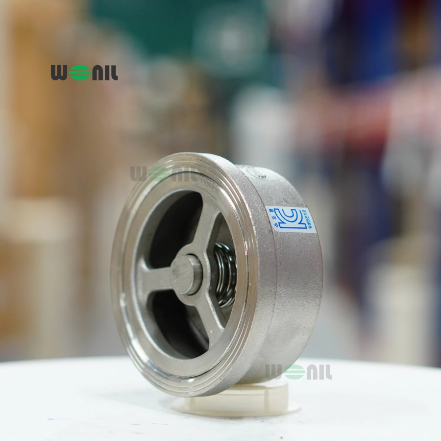 Van 1 chiều cối Inox Wonil DN40 (1½ Inch) Ảnh thực tế Van 1 chiều cối Inox Wonil DN40