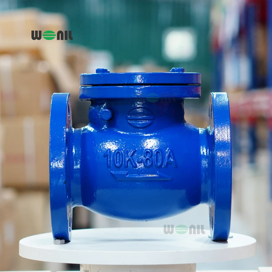 Van 1 chiều Wonil Lá Lật Mặt Bích Gang DN80 Ảnh thực tế Van 1 chiều Wonil Lá Lật Mặt Bích Gang DN80