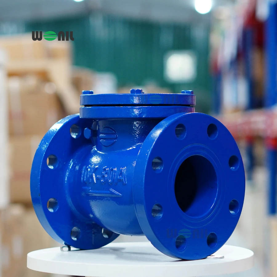 Van 1 chiều Wonil Lá Lật Mặt Bích Gang DN80 Ảnh thực tế Van 1 chiều Wonil Lá Lật Mặt Bích Gang DN80