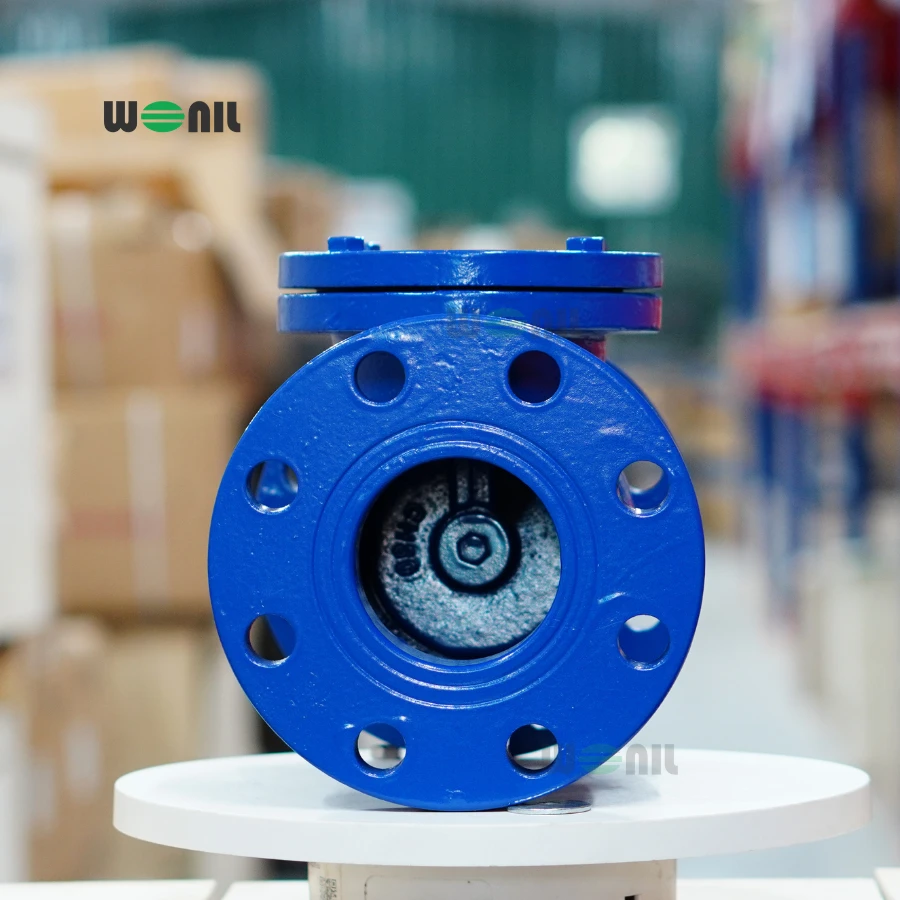 Van 1 chiều Wonil Lá Lật Mặt Bích Gang DN80 Ảnh thực tế Van 1 chiều Wonil Lá Lật Mặt Bích Gang DN80