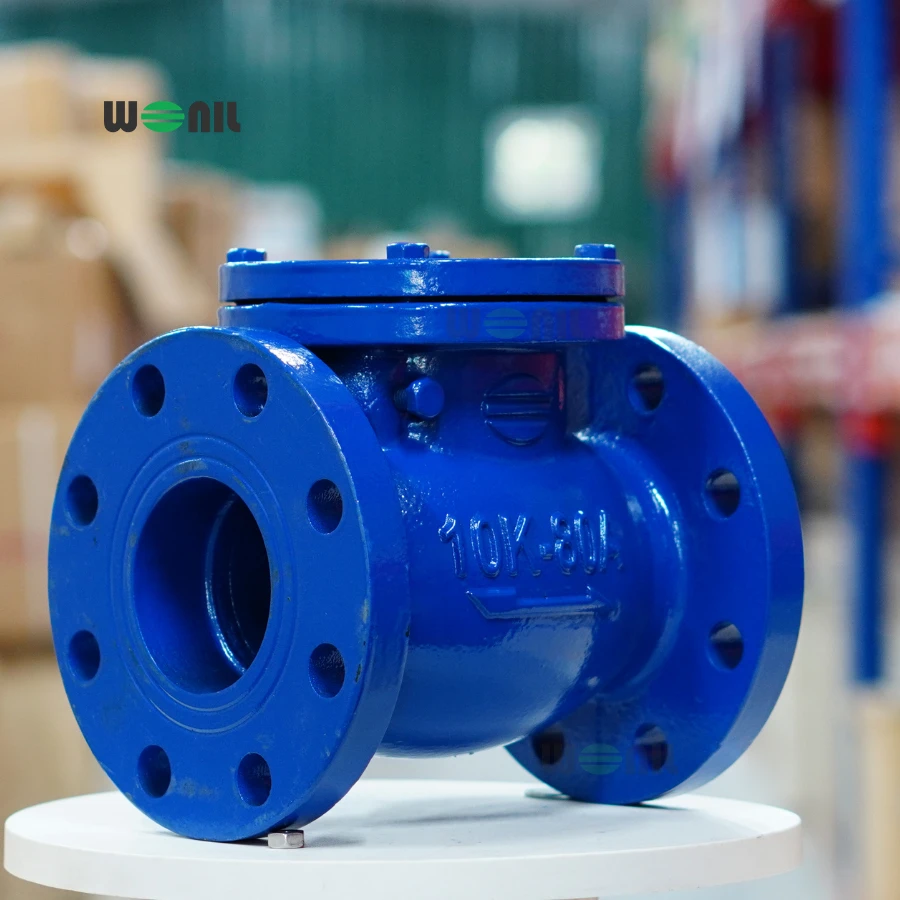 Van 1 chiều Wonil Lá Lật Mặt Bích Gang DN80 Ảnh thực tế Van 1 chiều Wonil Lá Lật Mặt Bích Gang DN80