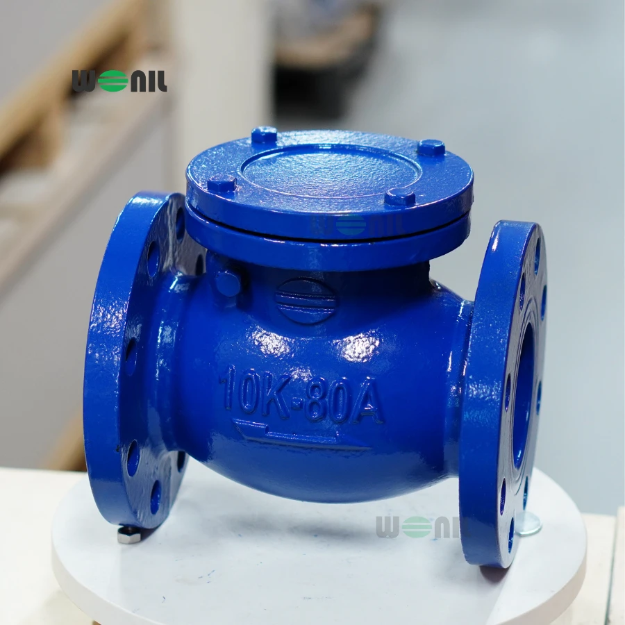 Van 1 chiều Wonil Lá Lật Mặt Bích Gang DN80 Ảnh thực tế Van 1 chiều Wonil Lá Lật Mặt Bích Gang DN80