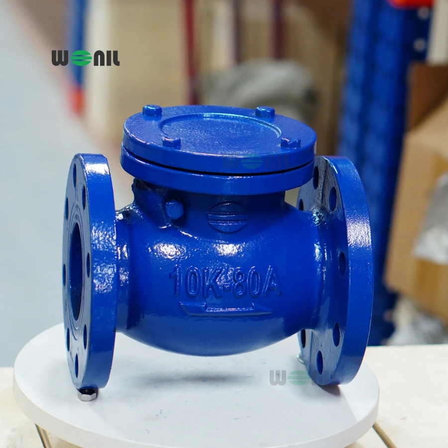 Van 1 chiều Wonil Lá Lật Mặt Bích Gang DN80 Ảnh thực tế Van 1 chiều Wonil Lá Lật Mặt Bích Gang DN80