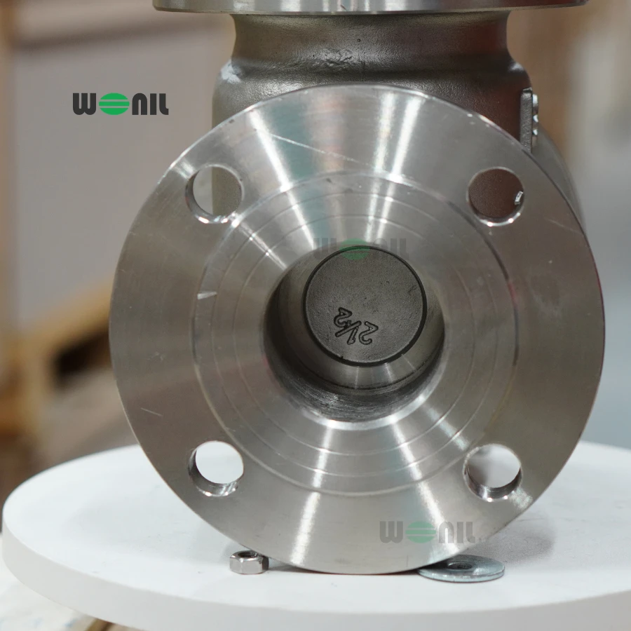 Van 1 chiều Wonil Lá Lật Mặt Bích Inox DN65 Ảnh thực tế Van 1 chiều Wonil Lá Lật Mặt Bích Inox DN65