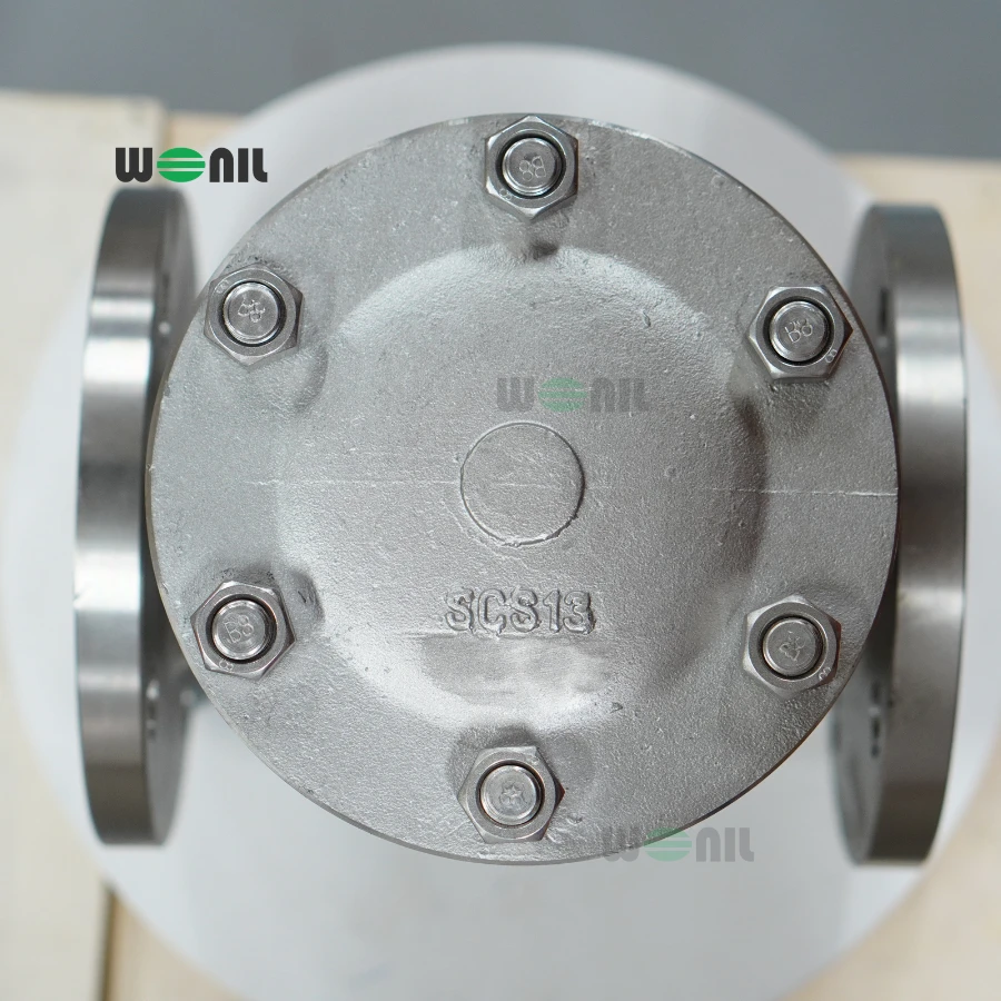 Van 1 chiều Wonil Lá Lật Mặt Bích Inox DN65 Ảnh thực tế Van 1 chiều Wonil Lá Lật Mặt Bích Inox DN65