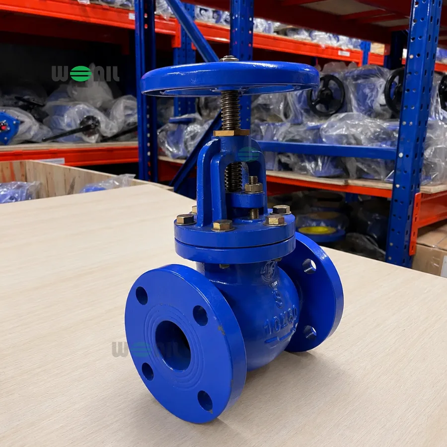 Van cầu bầu Wonil mặt bích gang DN50 Ảnh thực tế van cầu bầu Wonil mặt bích gang DN50