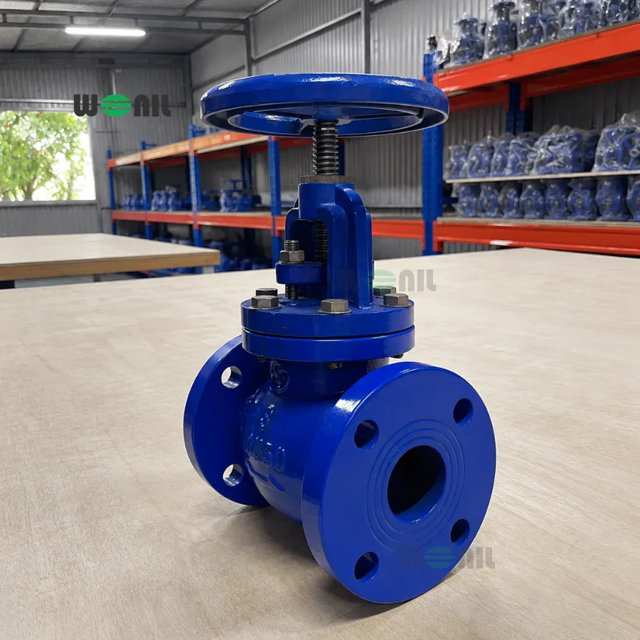 Van cầu bầu Wonil mặt bích gang DN50 Ảnh thực tế van cầu bầu Wonil mặt bích gang DN50