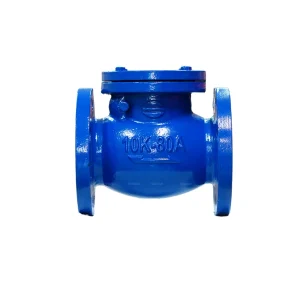Van 1 chiều Wonil Lá Lật Mặt Bích Gang DN80 Van 1 chiều Wonil Lá Lật Mặt Bích Gang DN80