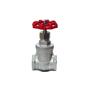 Van Cổng Wonil Nối Ren Tay Quay Inox DN25 (1 Inches) sản phẩm Van Cổng Wonil Nối Ren Tay Quay Inox DN25